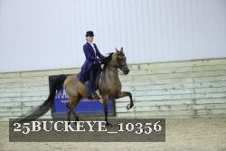 25BUCKEYE_10356 thumbnail