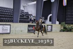 25BUCKEYE_10383 thumbnail