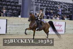 25BUCKEYE_10385 thumbnail