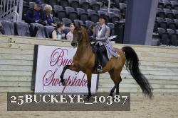 25BUCKEYE_10387 thumbnail