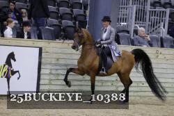 25BUCKEYE_10388 thumbnail
