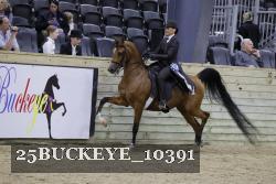 25BUCKEYE_10391 thumbnail