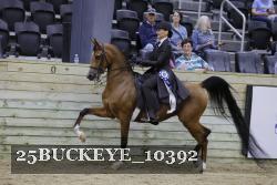 25BUCKEYE_10392 thumbnail