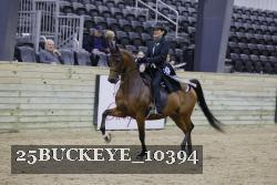 25BUCKEYE_10394 thumbnail