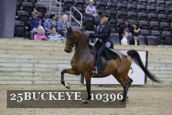 25BUCKEYE_10396 thumbnail