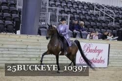 25BUCKEYE_10397 thumbnail