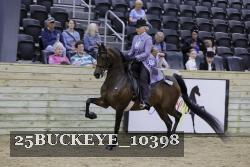 25BUCKEYE_10398 thumbnail