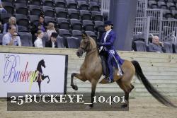 25BUCKEYE_10401 thumbnail