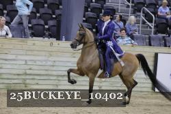 25BUCKEYE_10402 thumbnail