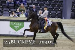 25BUCKEYE_10407 thumbnail