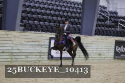 25BUCKEYE_10413 thumbnail