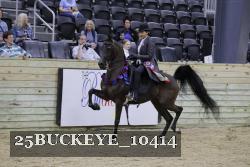 25BUCKEYE_10414 thumbnail