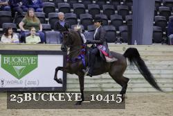 25BUCKEYE_10415 thumbnail
