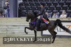25BUCKEYE_10416 thumbnail