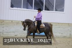 25BUCKEYE_10417 thumbnail