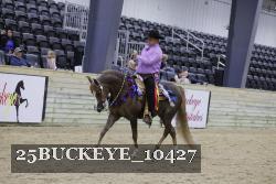 25BUCKEYE_10427 thumbnail