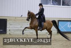25BUCKEYE_10431 thumbnail