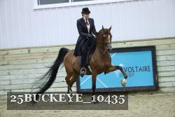 25BUCKEYE_10435 thumbnail
