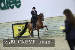 25BUCKEYE_10437 thumbnail