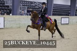 25BUCKEYE_10445 thumbnail
