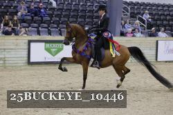 25BUCKEYE_10446 thumbnail