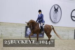25BUCKEYE_10447 thumbnail