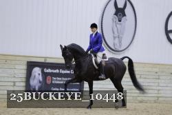 25BUCKEYE_10448 thumbnail