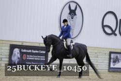 25BUCKEYE_10450 thumbnail