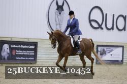 25BUCKEYE_10452 thumbnail