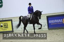 25BUCKEYE_10455 thumbnail