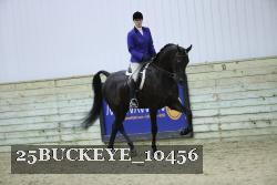 25BUCKEYE_10456 thumbnail