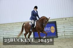 25BUCKEYE_10458 thumbnail