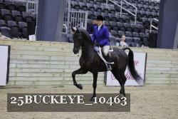 25BUCKEYE_10463 thumbnail