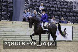 25BUCKEYE_10464 thumbnail