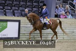 25BUCKEYE_10467 thumbnail