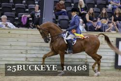 25BUCKEYE_10468 thumbnail