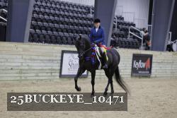 25BUCKEYE_10471 thumbnail