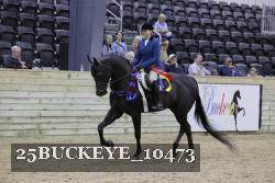 25BUCKEYE_10473 thumbnail