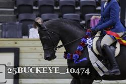 25BUCKEYE_10474 thumbnail