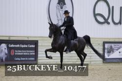 25BUCKEYE_10477 thumbnail