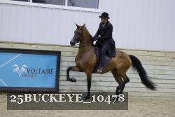25BUCKEYE_10478 thumbnail