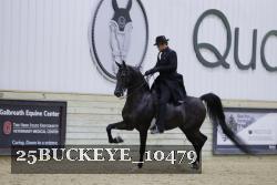 25BUCKEYE_10479 thumbnail