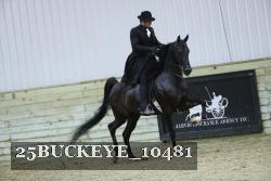 25BUCKEYE_10481 thumbnail