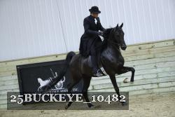25BUCKEYE_10482 thumbnail