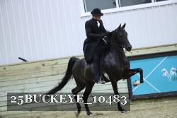 25BUCKEYE_10483 thumbnail