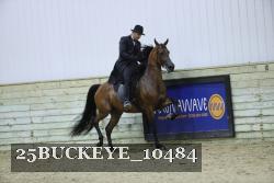 25BUCKEYE_10484 thumbnail