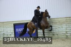 25BUCKEYE_10485 thumbnail