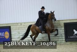 25BUCKEYE_10486 thumbnail