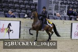 25BUCKEYE_10492 thumbnail