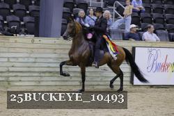 25BUCKEYE_10493 thumbnail